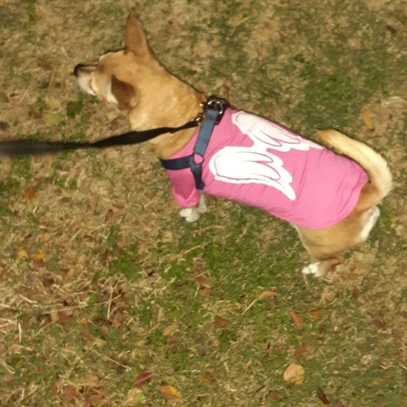 Meet your Posher, Paul - Picture 5 of 7